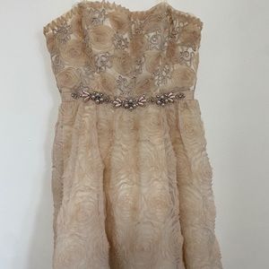 Blush Adrianna Papell Cocktail Dress